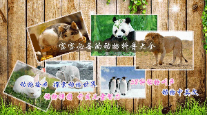 结识动物