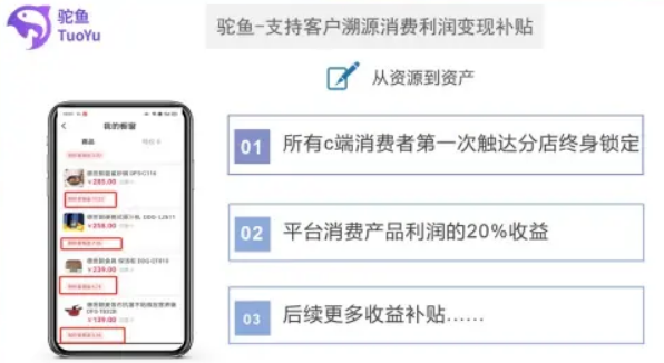 驼鱼应用