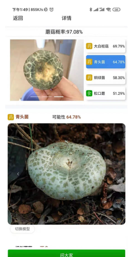 草菇窝(识别蘑菇)