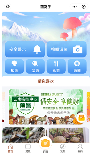 草菇窝(识别蘑菇)