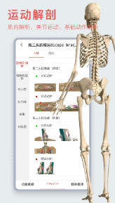 3D身躯剖析学应用苹果版