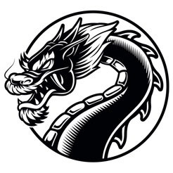黑龙小说ios v1.0 iPhone版