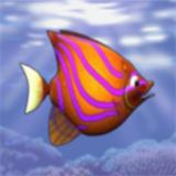 Feeding Frenzy(喂鱼狂潮) v1.2 安卓版