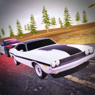 Escape Master 3D(逃生大师3D) v1.0 最新版