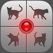 human to cat软件ios版下载 v1.4 iphone版
