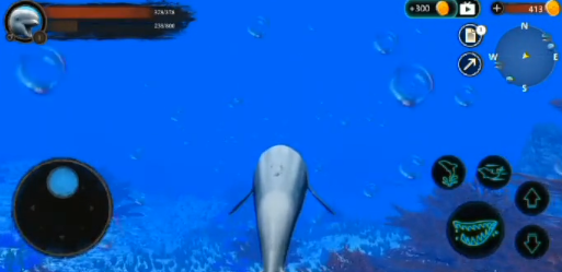 海洋大捕杀 海洋大捕杀