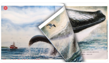 喵老师睡前绘本故事 喵老师睡前绘本故事