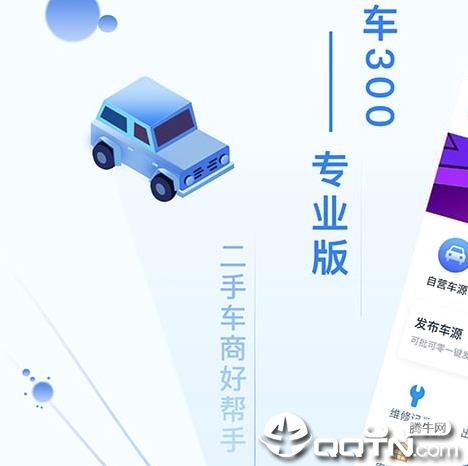 车300专业版 车300专业版