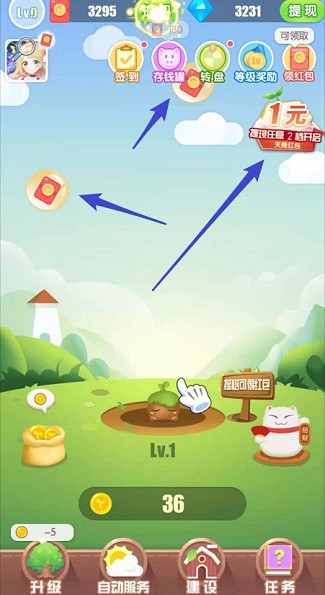 开心果园 开心果园