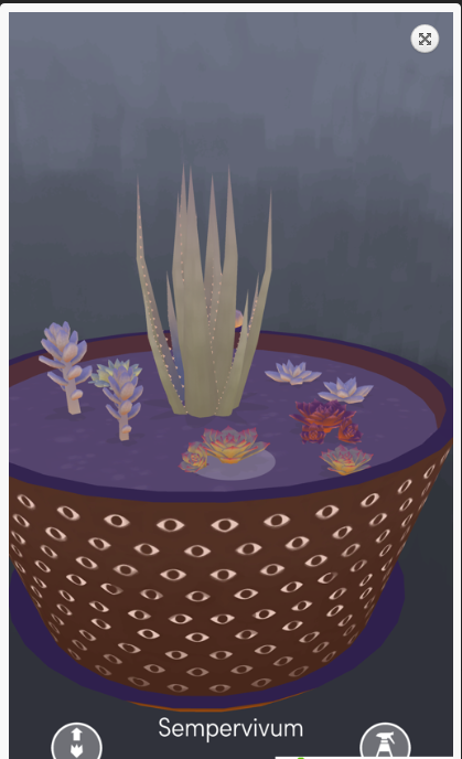 多肉模拟器中文版ios版 多肉模拟器中文版ios版