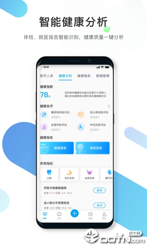 数字人体 数字人体