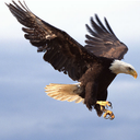 思归定位软件下载