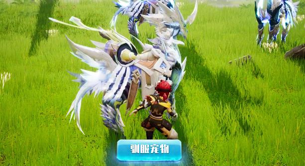 驯龙部落 驯龙部落