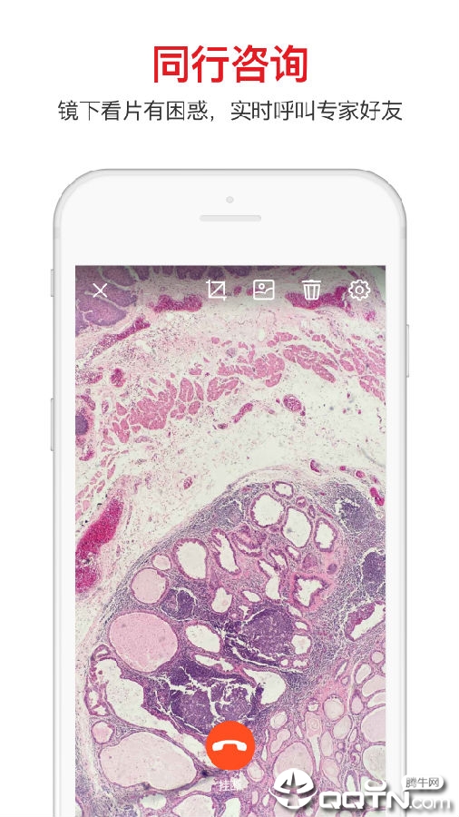 爱病理app 爱病理app