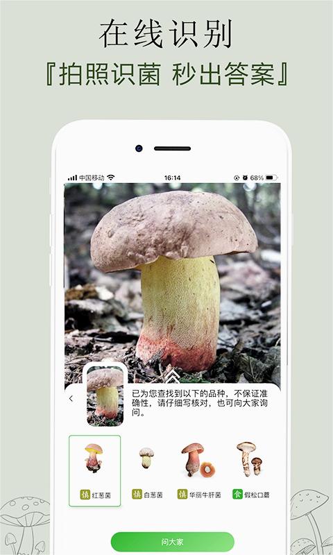 菌窝子(识别蘑菇)