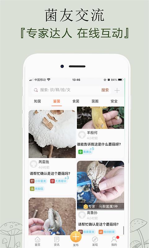 菌窝子(识别蘑菇)