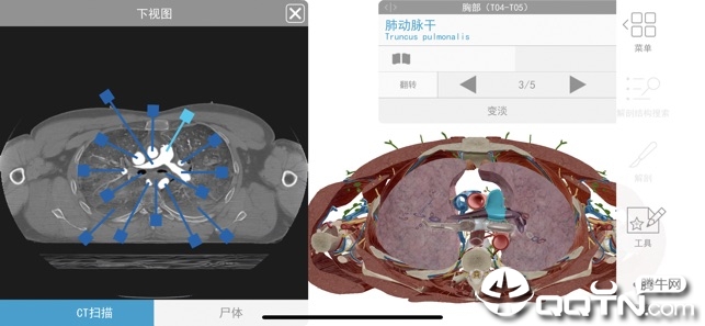 2020人体解剖学图谱苹果版