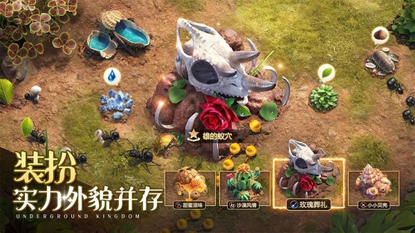 小小蚁国37版本最新版本