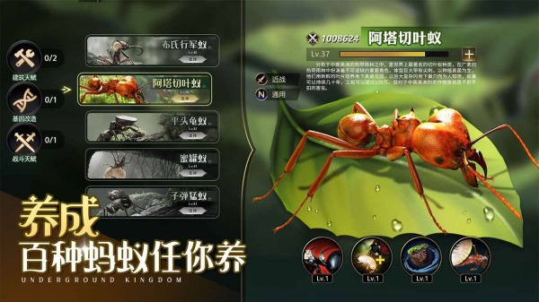 小小蚁国37版本最新版本