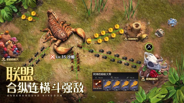 小小蚁国37版本最新版本