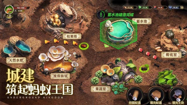 小小蚁国37版本最新版本