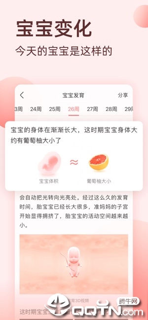 柚宝宝孕育ios版