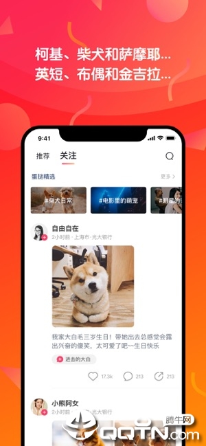 蛋挞短视频iOS版