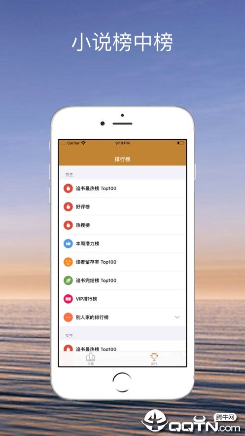 小说榜中榜ios版