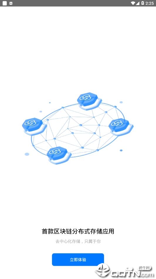 BitDisk