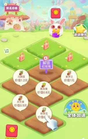 花儿的世界 花儿的世界