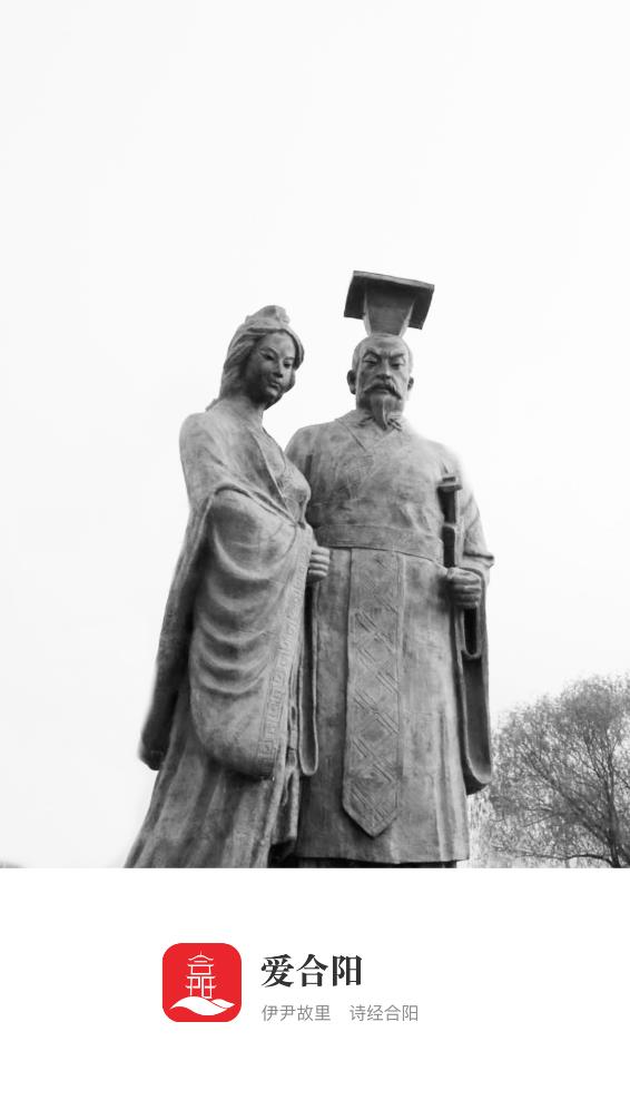 爱合阳新闻