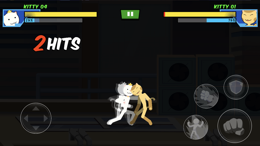 Cat Fighter Battle