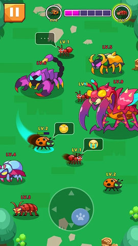 Rules of Insect(昆虫法则)