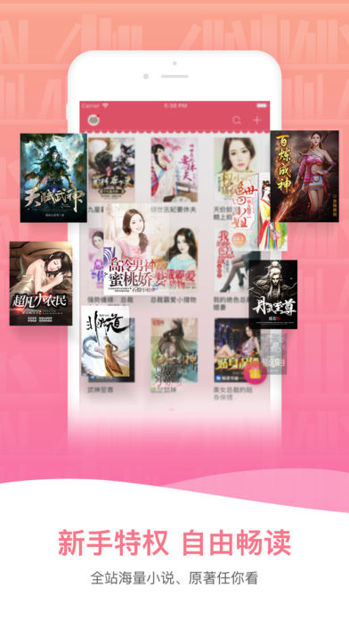 小说王ios版