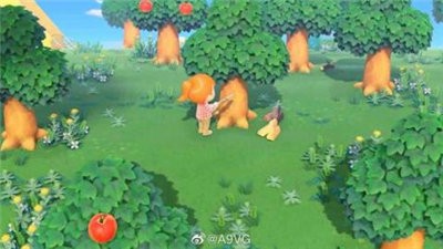 动物森友会ios版