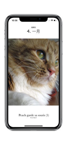 猫日历2018年ios版下载