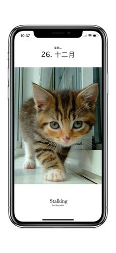 猫日历2018年ios版下载