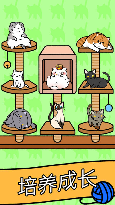 猫咪公寓游戏苹果版下载