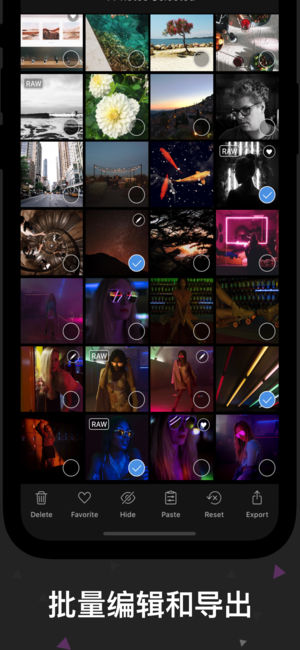 Darkroom苹果版