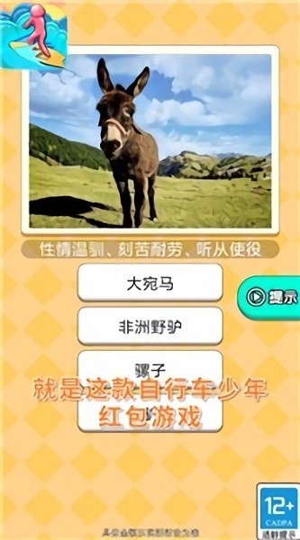 自行车少年游戏