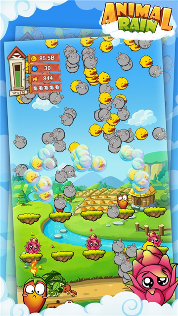 Animal Rain(动物雨)