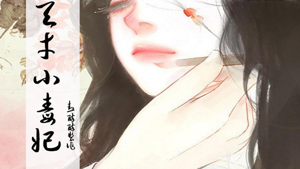 天才小毒妃手游iOS版下载