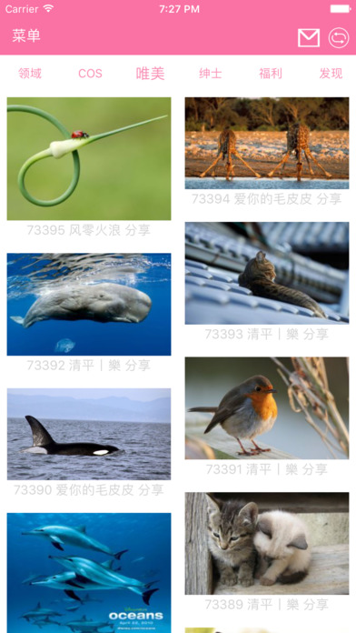 绅士领域ios版下载