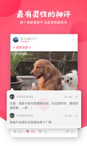 内涵段子0π-7什么意思苹果版下载