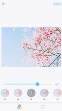 Palette Nara(清新奈良)IOS版