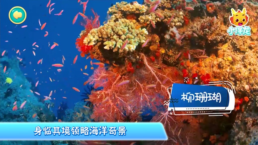 小伴龙海洋世界ios版