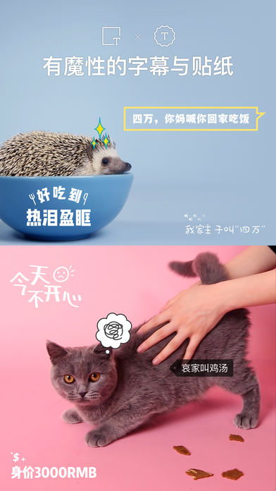 猫饼ö视频iOS版下载