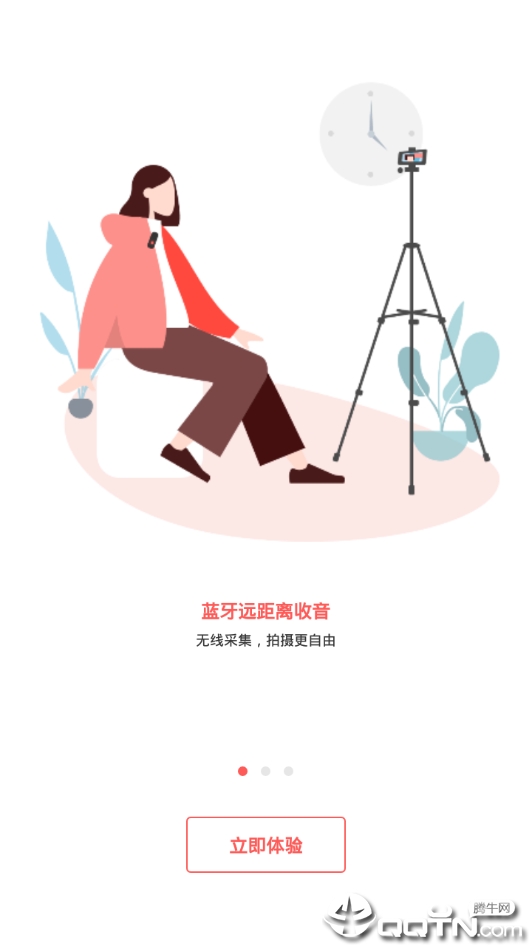 智麦