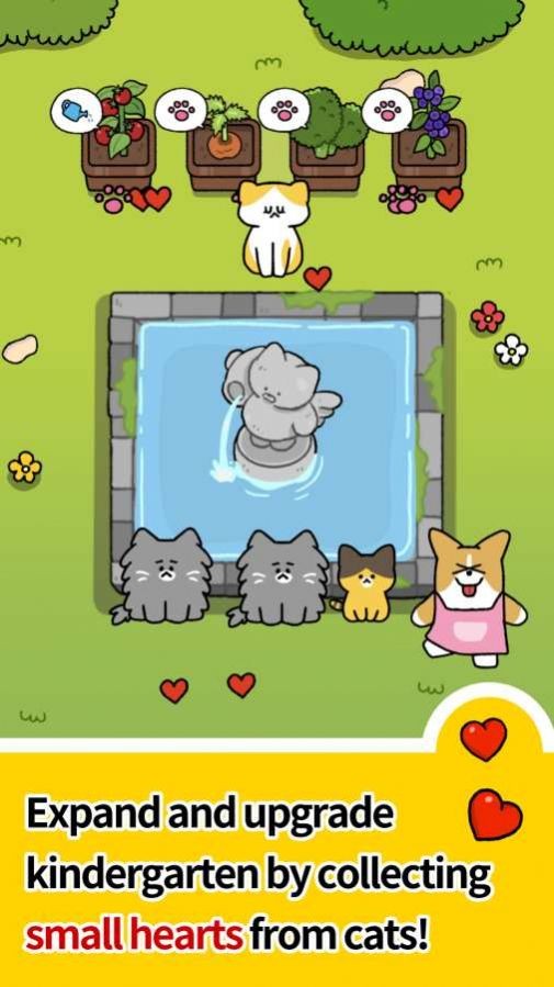 Cat Kindergarten(猫咪幼儿园)