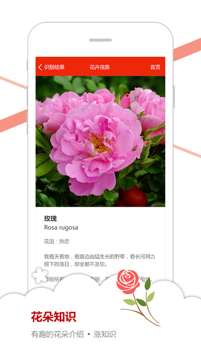 微软识花下载苹果版